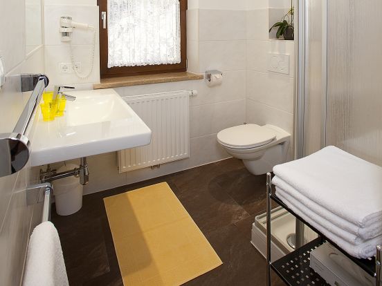 Ferienwohnung Alpin-11