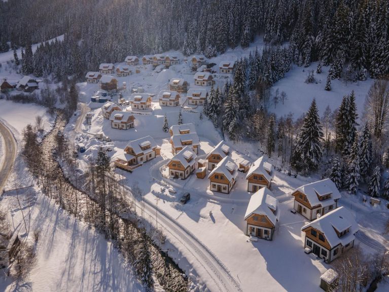 Ferienhaus Riesneralm Bergzauber