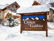 Ferienwohnung Les Chalets du Galibier Type 1 - 40 m²-18