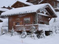 Ferienhaus Le Hameau des Marmottes mit Familienzimmer und Sauna-59