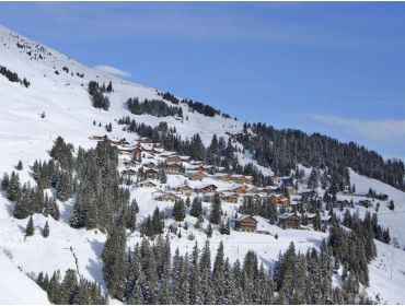 Skidorf Kleines, von Skilifts umgebenes, Dorf-3