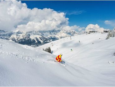 Skidorf Gemütliches und kinderfreundliches Skidorf-5
