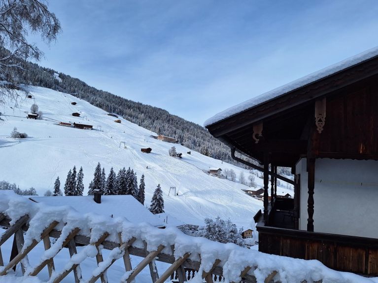 Ferienhaus Birkheim