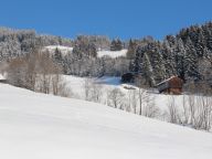 Ferienhaus Rote Alm-19