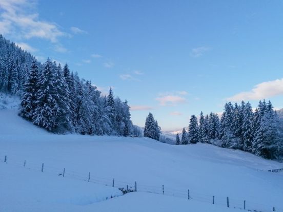 Ferienhaus Winterreitgut-18