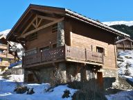 Ferienhaus Le Hameau des Marmottes auf den Pisten-28