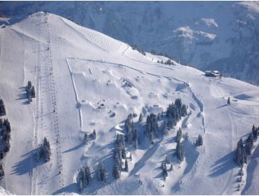 Skidorf Kleines, von Skilifts umgebenes, Dorf-5