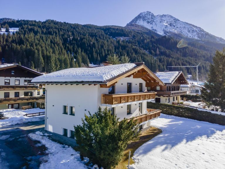 Ferienhaus Amadé