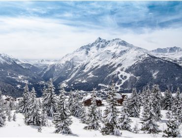 Skidorf Perfekt für Skiurlaube mit der Familie; versteckt in den Wäldern-4