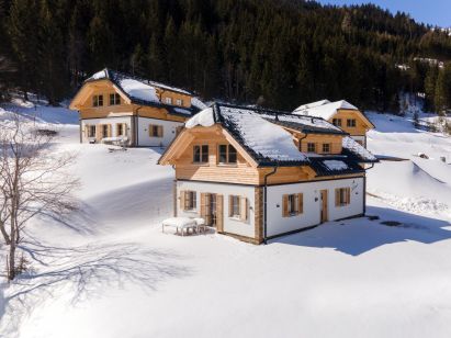 Ferienhaus Riesneralm Sperlingnest-1