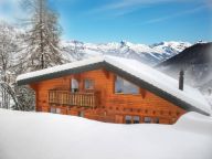 Ferienhaus Harmonie mit Sauna und Außenwhirlpool-15