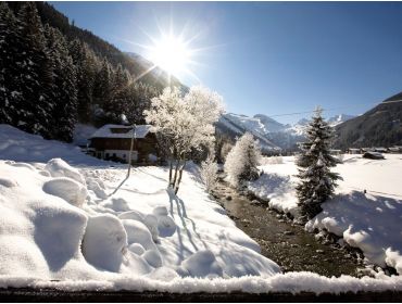 Skidorf: Finkenberg (bei Mayrhofen)-1