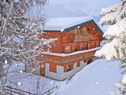 Ferienhaus Harmonie mit Sauna und Außenwhirlpool-1