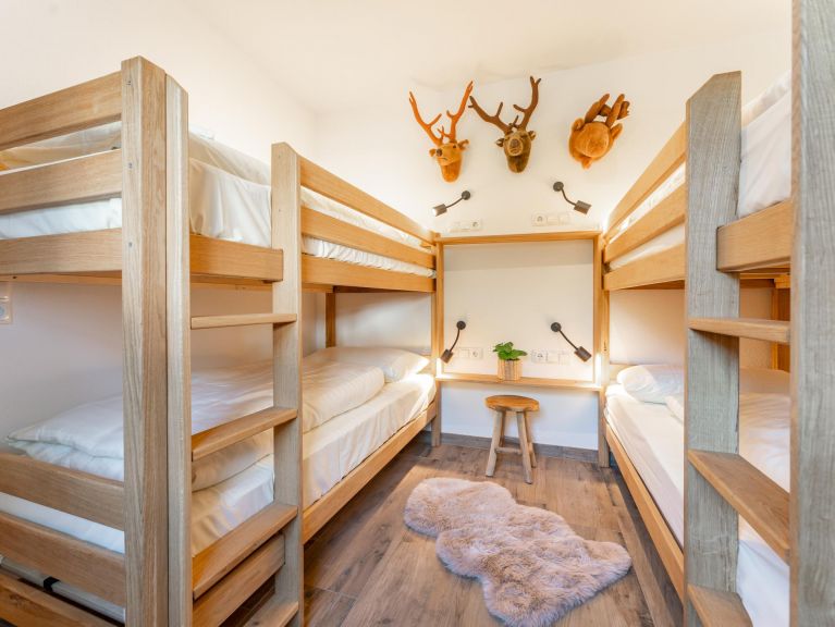 Ferienhaus Pinzgau Lodge 1C