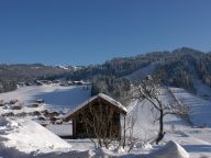 Ferienwohnung Fleur des Alpes Gentiane-11