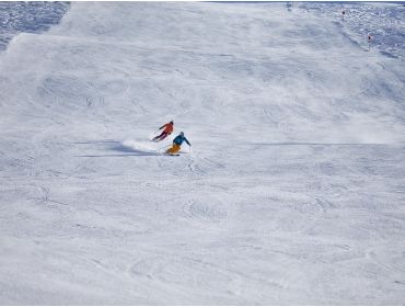 Skidorf Ruhiges Dorf mit familienfreundlichem Skigebiet-6