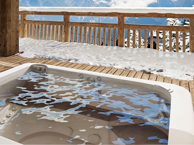 Ferienhaus Les Sources La Panthère des neiges