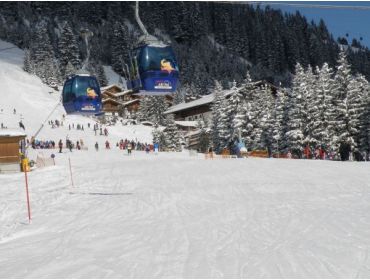 Skidorf Schneesicheres, gemütliches Skidorf im Zillertal-10