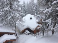 Ferienhaus De Vallandry Le Vent en Poupe mit Außensauna-25