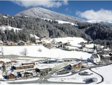 Skidorf: Wald im Pinzgau-1