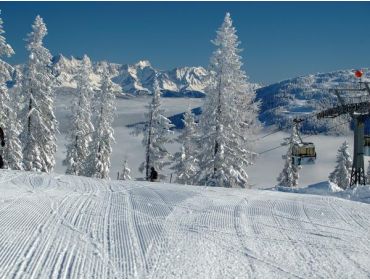 Skidorf Geselliges und stimmungsvolles Dorf in der Sportwelt Amadé-4