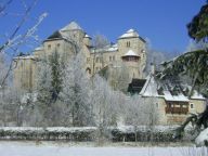 Schloß Schloss Fischhorn (flexibele aankomst / excl. skipas) Saphir Sonntag-Sonntag-18