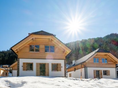 Ferienhaus Riesneralm Steier Hütte-1