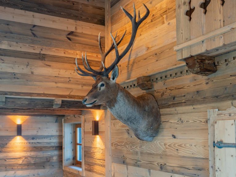 Ferienhaus Spykerhütte