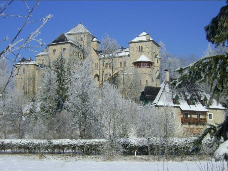 Schloß Schloss Fischhorn (incl. catering, flexibele aankomst) Kombination aus 6 Ferienwohnungen