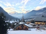 Ferienwohnung Les Soldanelles Nr. 29-15