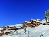 Ferienwohnung Les Portes du Grand Massif Ferienhaus-17