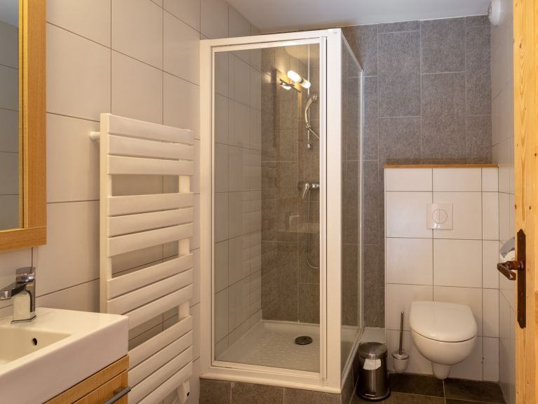 Ferienwohnung Les Portes du Grand Massif Ferienhaus