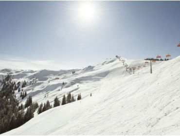 Skidorf Ruhiges Skidorf mit Anschluss an Saalbach und Hinterglemm-6