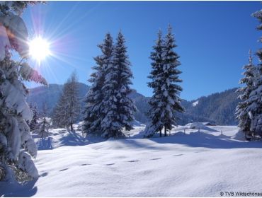 Skigebiet Ski Juwel Alpbachtal Wildschönau-2