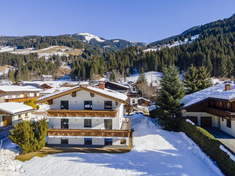 Ferienhaus Amadé