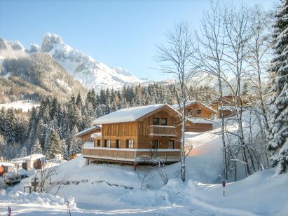 Ferienhaus Alpendorf Dachstein-West Gamsblume-1