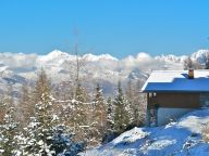 Ferienhaus De Vallandry Le Chamois-16