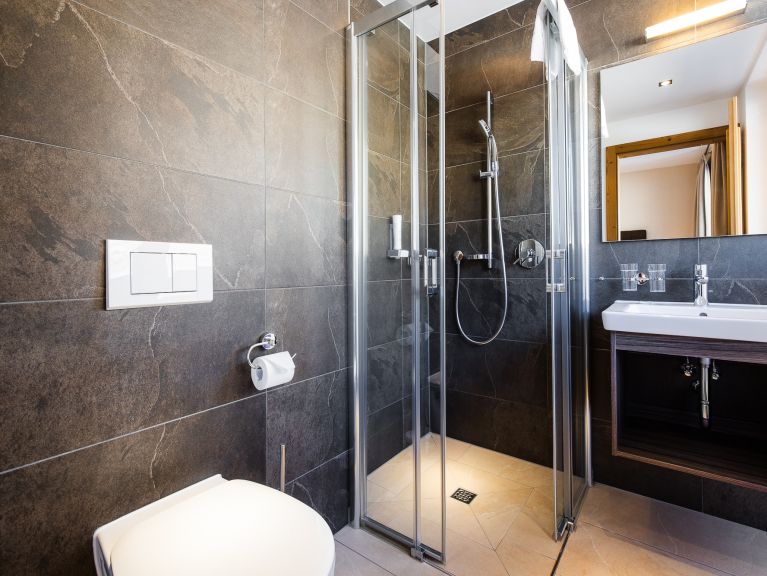 Ferienwohnung Wildkogelresorts Typ IVa