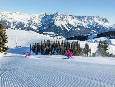 Skidorf Gemütliches und kinderfreundliches Skidorf-2