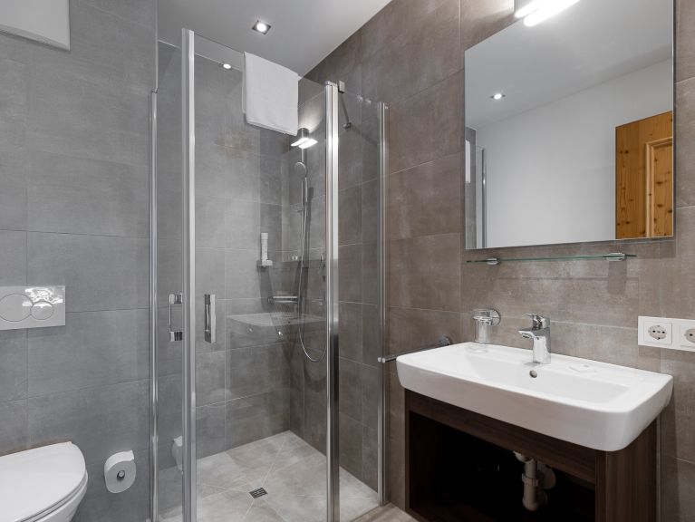 Ferienwohnung Wildkogelresorts Penthouse Typ IIIa