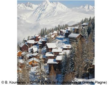 Skidorf Zentrale Lage in bewaldeter Umgebung im Skigebiet von La Plagne-2