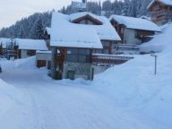 Ferienhaus De Vallandry Le Dahu mit Sauna-21