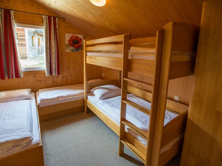 Ferienhaus Alpendorf Dachstein-West Gamsblume