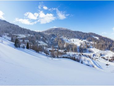 Skidorf Zentrale Lage in bewaldeter Umgebung im Skigebiet von La Plagne-5