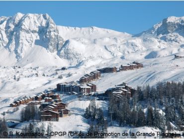 Skidorf Skidörfer mit vielen Einrichtungen in sonniger Lage-2