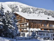 Ferienwohnung Alpenhaus Katschberg Typ S-20