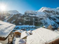 Ferienhaus Whistler mit eigener Sauna und Außenwhirlpool-23