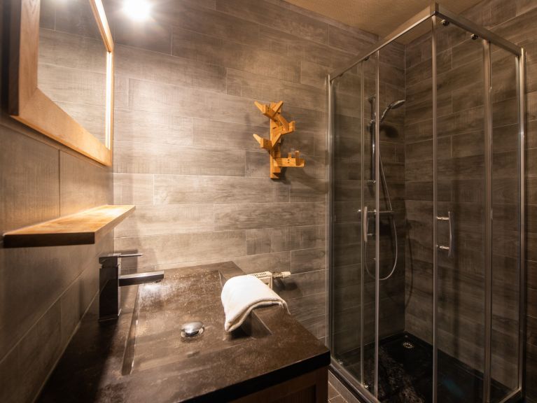 Ferienwohnung Les Chalets du Thorens