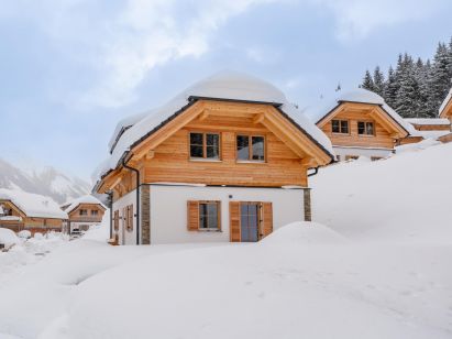 Ferienhaus Riesneralm Alpenjoy Lodge-1