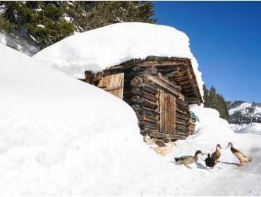 Skidorf Kleines Dorf in der Nähe von Kaprun und Zell am See-7